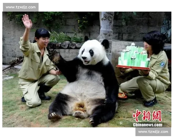墨西哥为 35 岁大熊猫 “欣欣” 庆生 海外最长寿 “友谊大使” 迎百岁华诞 墨西哥为 35 岁大熊猫 “欣欣” 庆生 海外最长寿 “友谊大使” 迎百岁华诞