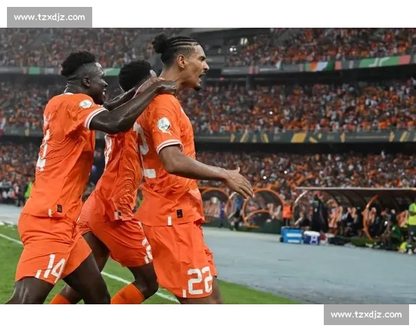 战术大师博弈，非洲杯教练团的智慧对决